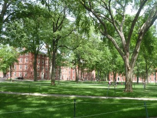 Campus d'Harvard