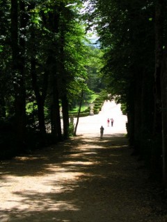 Photo du Palais Royal de la Granja de San...