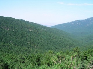 Photo du Palais Royal de la Granja de San...