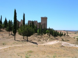 Vue de la forteresse de Pearanda de Duero