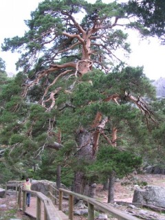 Laguna Negra de Urbion (lac - Castille-Lon)