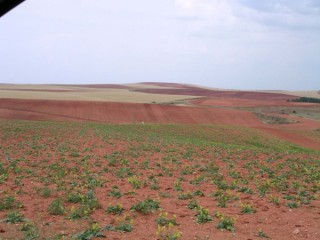 Vue des ruines antiques de Tiermes (Castille-Lon)