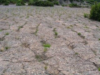 Paysage Pyrénéen sur la route entre Urgell et... Paysage Pyrénéen sur la route entre Urgell et...