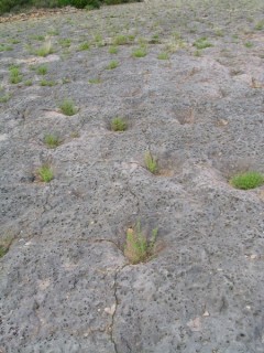Paysage Pyrénéen sur la route entre Urgell et... Paysage Pyrénéen sur la route entre Urgell et...