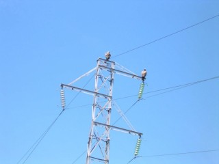 Paysage Pyrénéen sur la route entre Urgell et... Paysage Pyrénéen sur la route entre Urgell et...