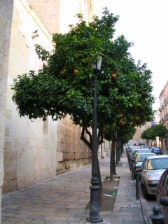 TARRAGONE : photo de Tarragone (Catalogne)