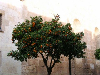 TARRAGONE : photo de Tarragone (Catalogne)