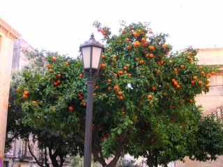 TARRAGONE : photo de Tarragone (Catalogne)