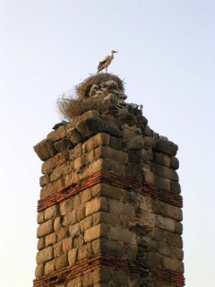 MERIDA : Photo de Mrida (Estrmadure)