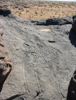 Art rupestre dans le Sahara