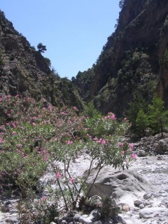 Gorges de samaria