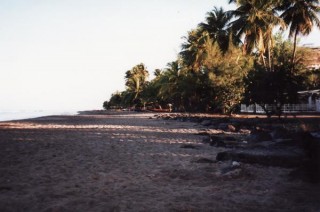 La plage du Carbet