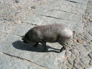 Photo du village de La Alberca (Castille-Léon) Photo du village de La Alberca (Castille-Léon)