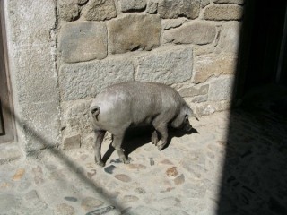 Photo du village de La Alberca (Castille-Léon) Photo du village de La Alberca (Castille-Léon)