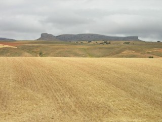 Jean Marie : Les blés avant la meseta au loin Jean Marie : Les blés avant la meseta au loin