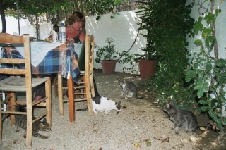 Les matous, les matous...