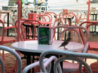 MADRID : Photo de Madrid (Espagne)