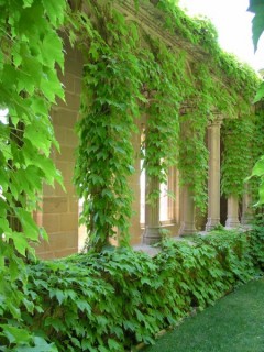 Photo du Palais mdival d'Olite (Navarre)