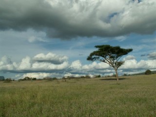 Paysage du Tsavo Est