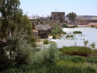 Photo de la ville de Cordoue (Andalousie) Photo de la ville de Cordoue (Andalousie)