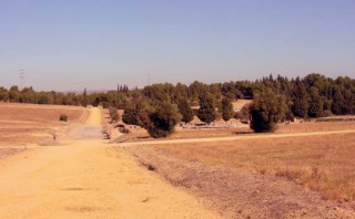 Photo de la cit romaine d'Italica prs de...