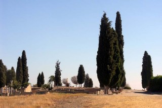 Photo de la cit romaine d'Italica prs de...