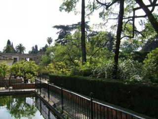 Photo du Real Alcazar Photo du Real Alcazar