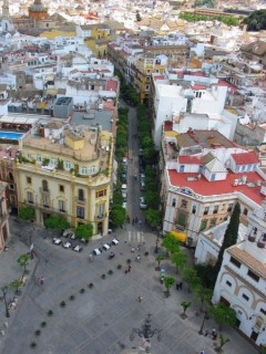 Photo de la Giralda et de la Cathdrale de Sville...