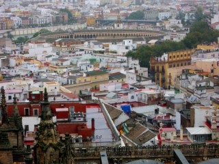 Photo de la Giralda et de la Cathdrale de Sville...