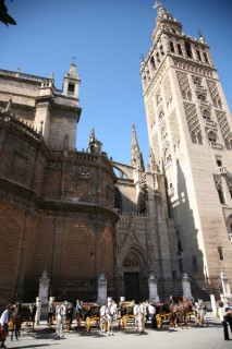 Photo de la Giralda et de la Cathdrale de Sville...