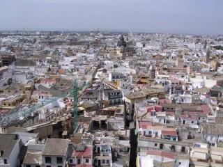 Photo de la Giralda et de la Cathdrale de Sville...