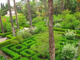 Photo du Real Alcazar 