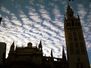 Photo de la Giralda et de la Cathdrale de Sville...