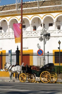 MAESTRANZA : Photo de la Maestranza (arnes) ...