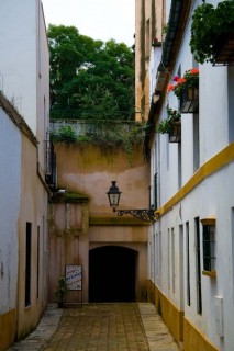 Photo du Barrio de Santa Cruz 