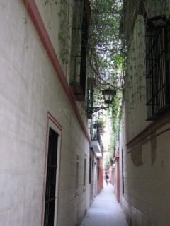 Photo du Barrio de Santa Cruz 
