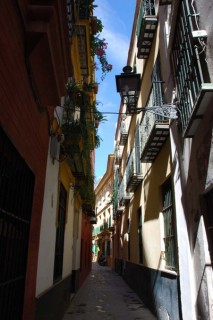 Photo du Barrio de Santa Cruz 