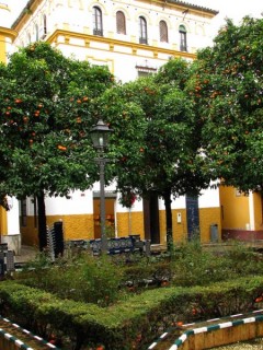 Photo du Barrio de Santa Cruz 