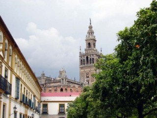 Photo de la Giralda et de la Cathdrale de Sville...