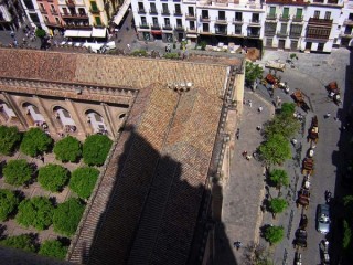 Photo de la Giralda et de la Cathdrale de Sville...