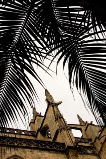 Photo de la Giralda et de la Cathdrale de Sville...