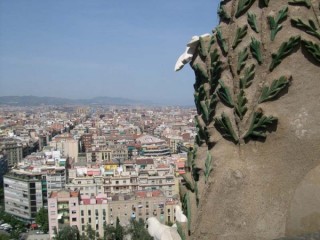 BARCELONE : photo de Barcelone - La Sagrada...