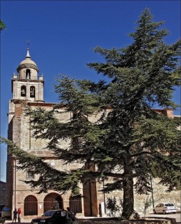 Photo de Medinacelli (Castille-Lon)