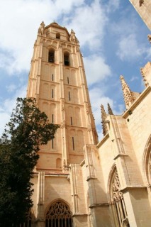 Le clocher de la cathdrale