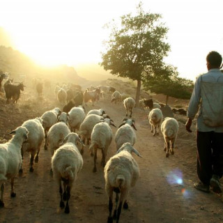 Paysage culturel de Maymand