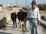 La vie quotidienne à Folegandros