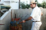 La vie quotidienne à Milos