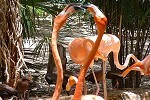 Le parc écologique Xcaret