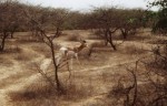 La réserve de Guembeul