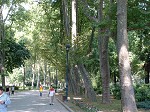 Le parc de Gülhane